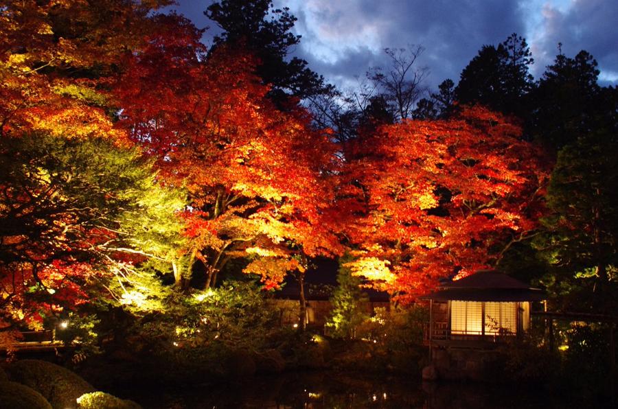 日本庭園