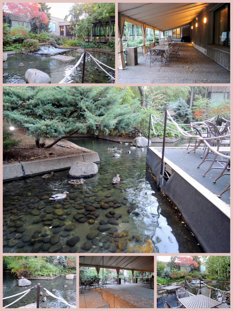 日本庭園