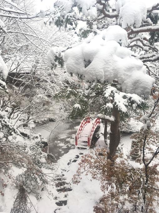 日本庭園