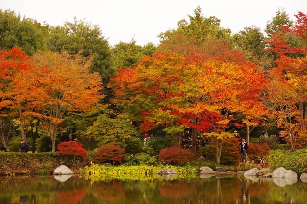 日本庭園