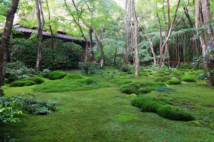 日本庭園