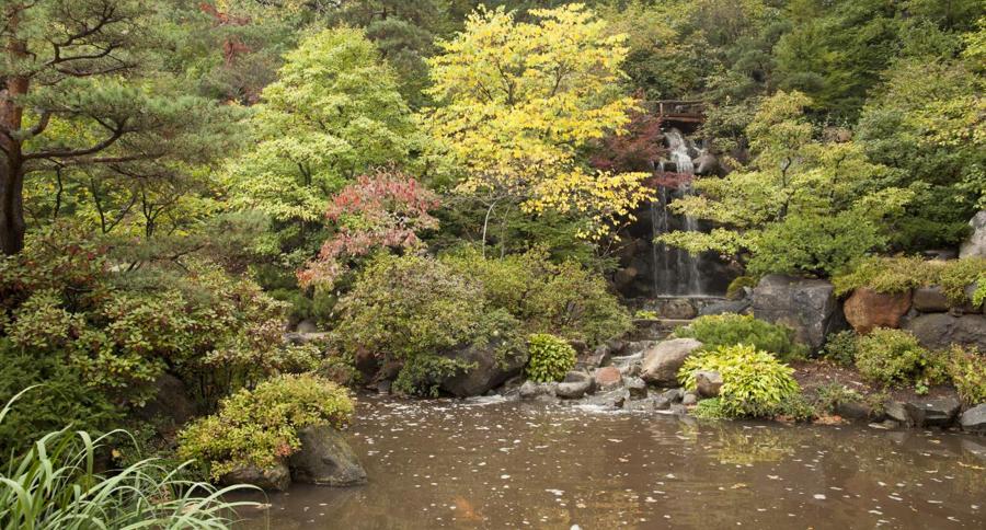 日本庭園