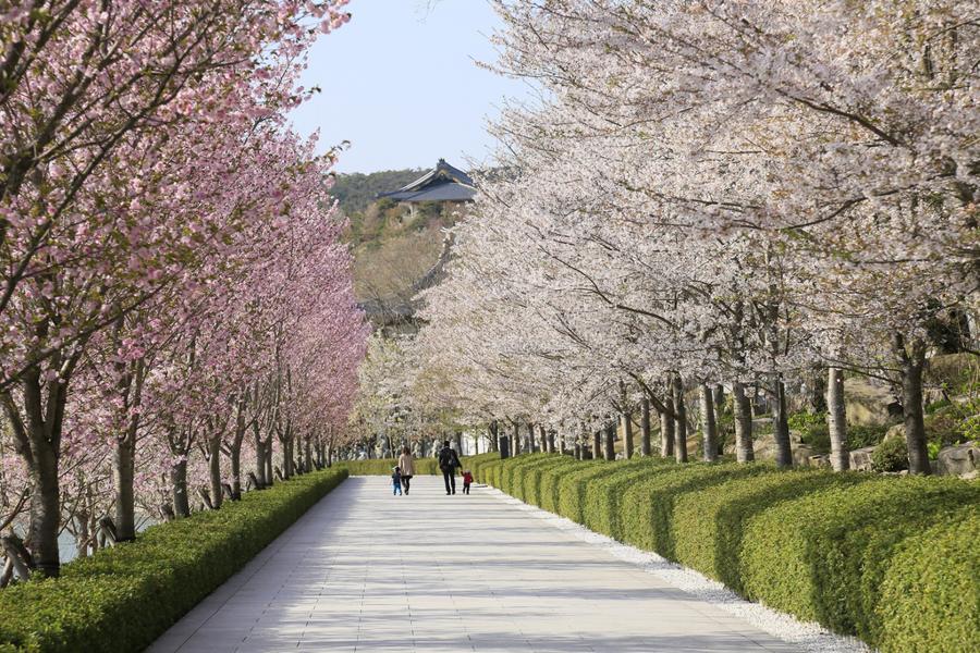 日本庭園