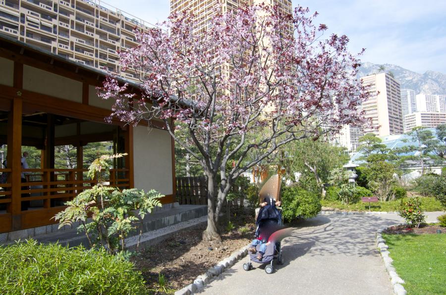 日本庭園