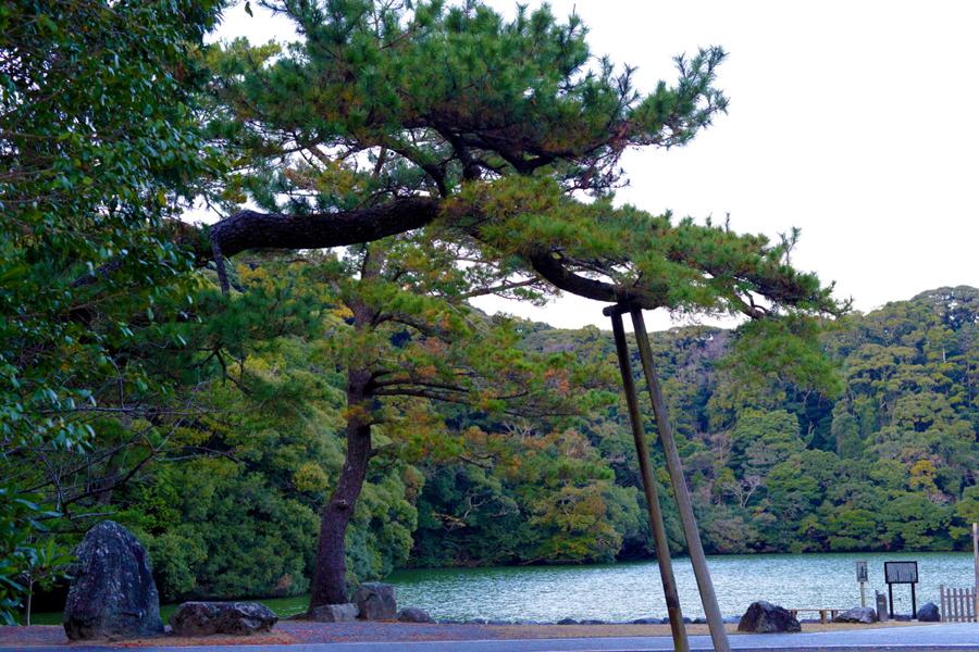 日本庭園