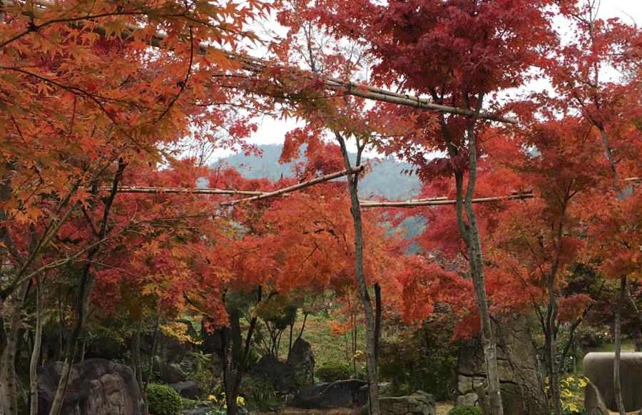 日本庭園