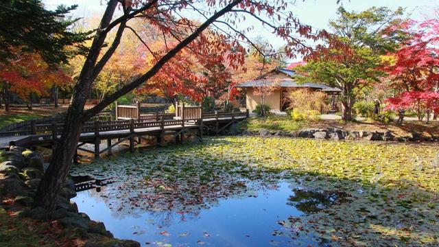日本庭園