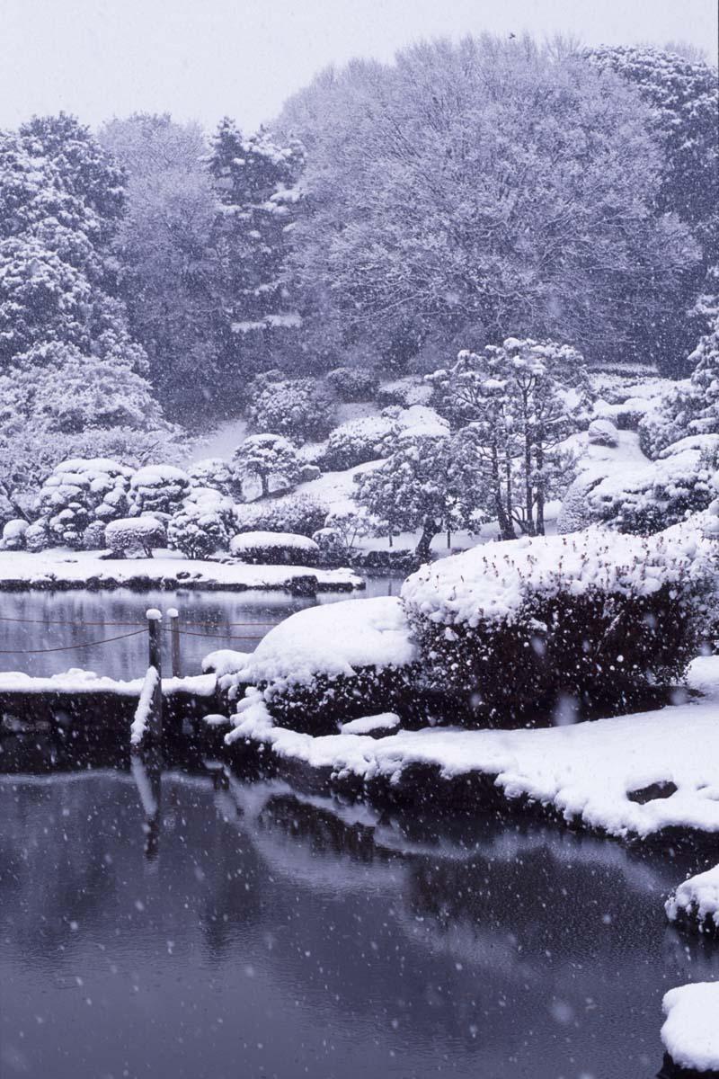 日本庭園