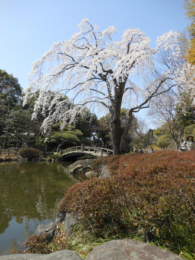 日本庭園