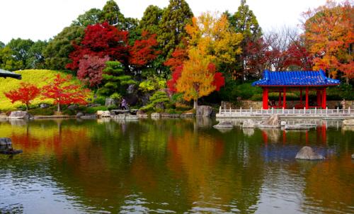 日本庭園