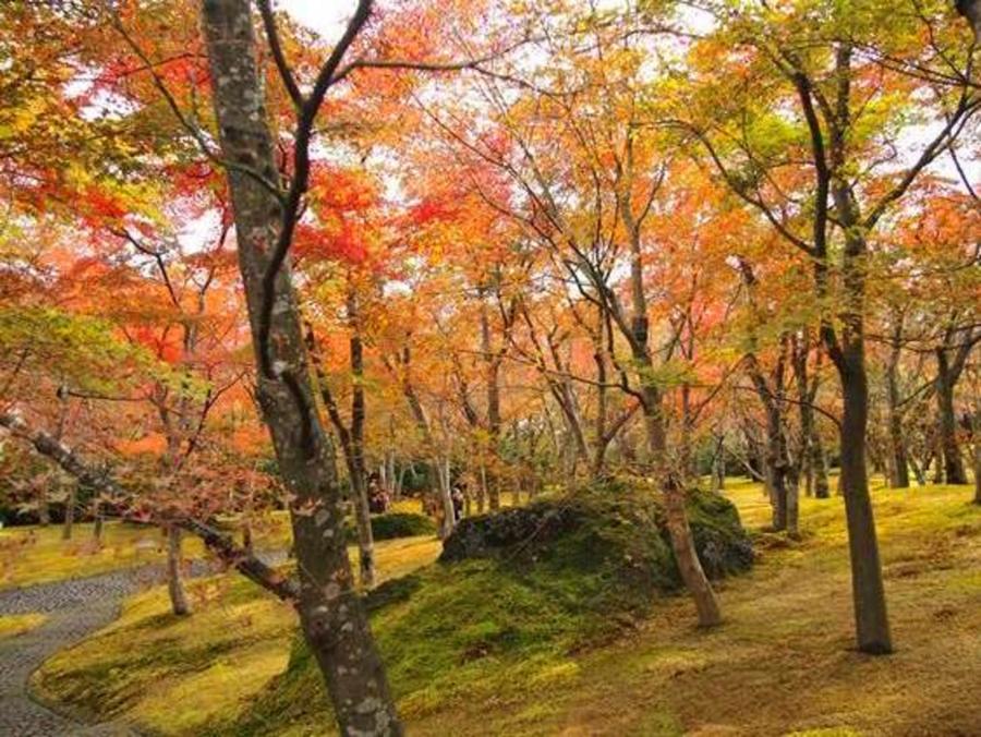 日本庭園