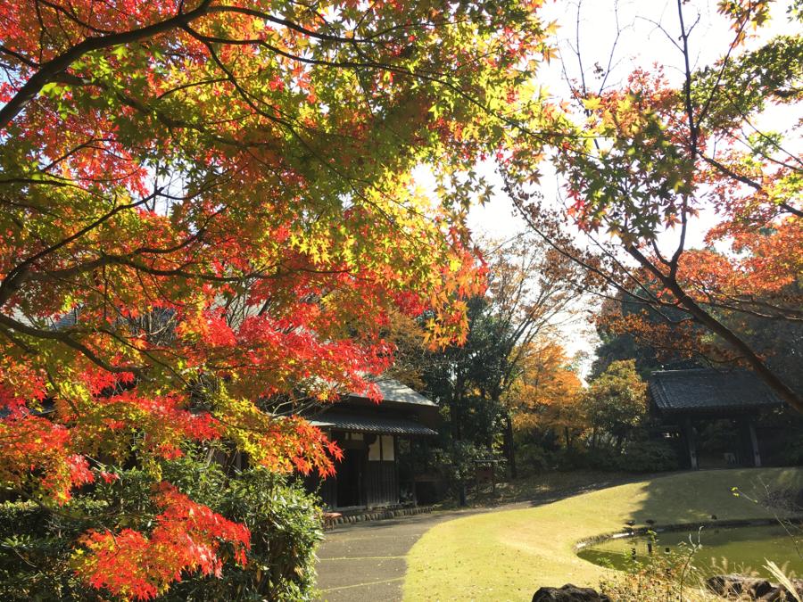 日本庭園