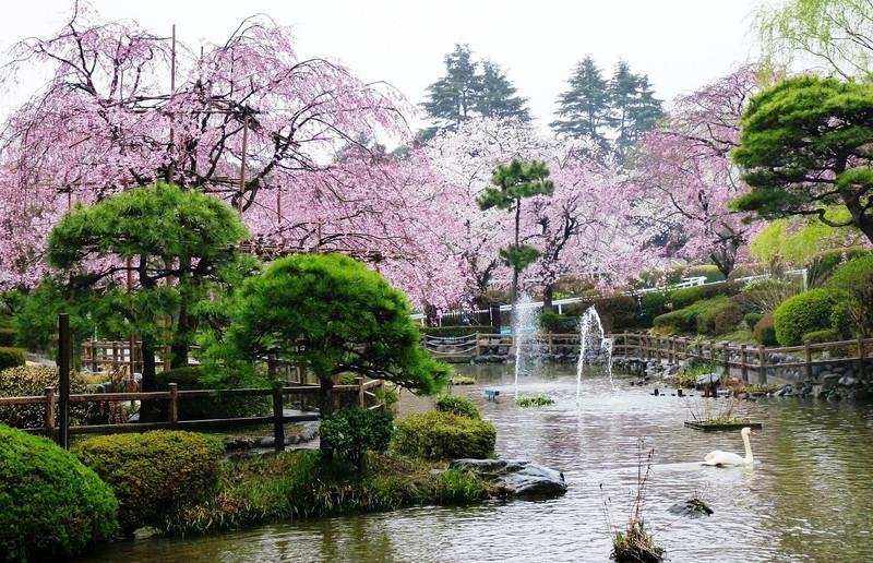 日本庭園