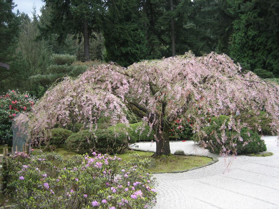 日本庭園