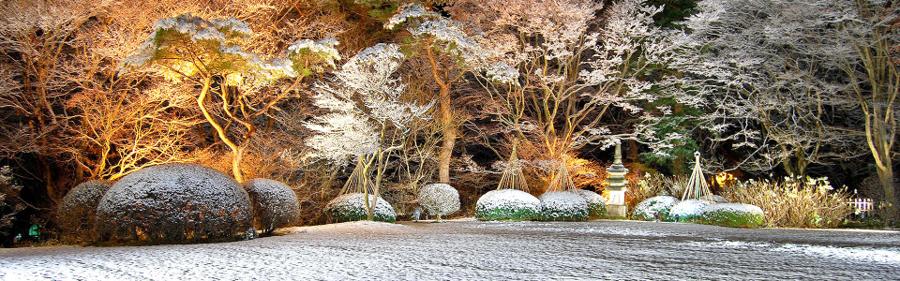 日本庭園