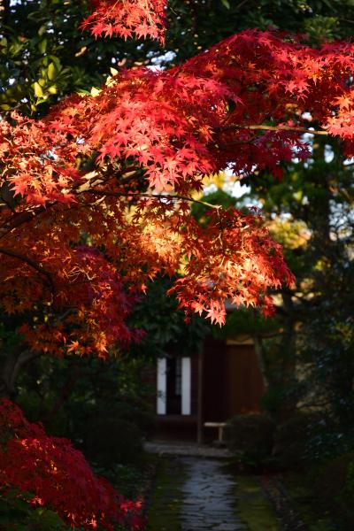 日本庭園