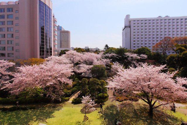 日本庭園