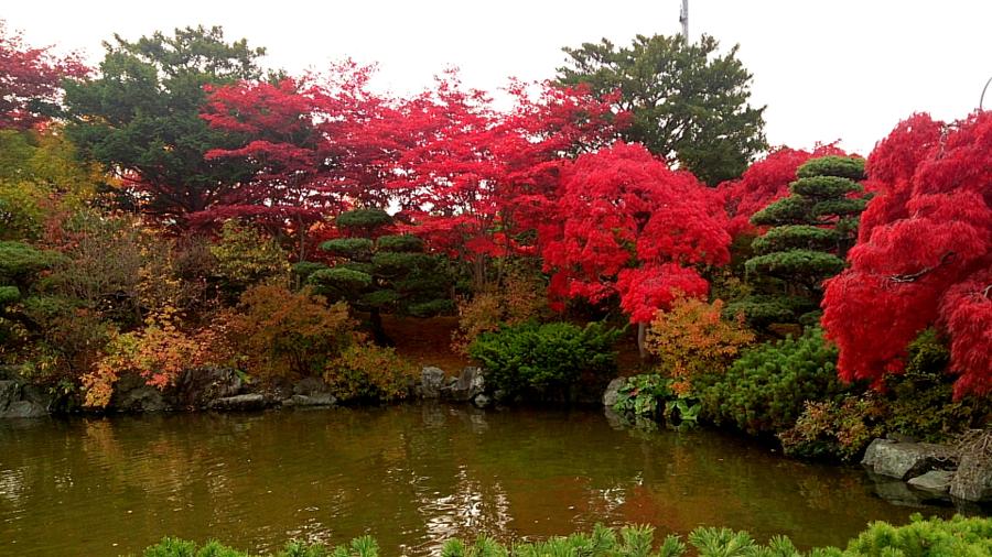 日本庭園