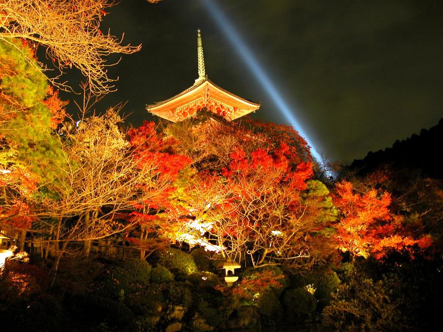 日本庭園