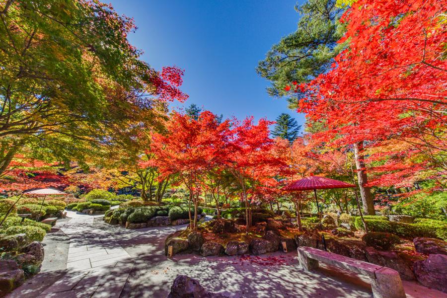 日本庭園