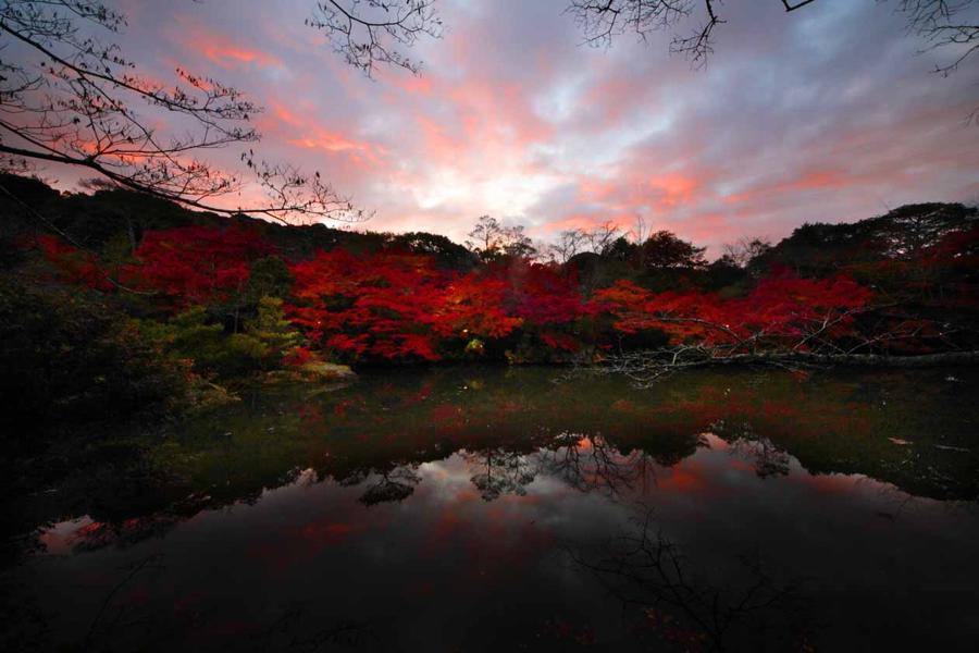 日本庭園