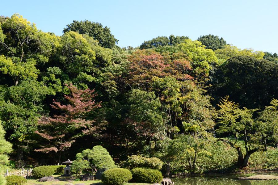 日本庭園