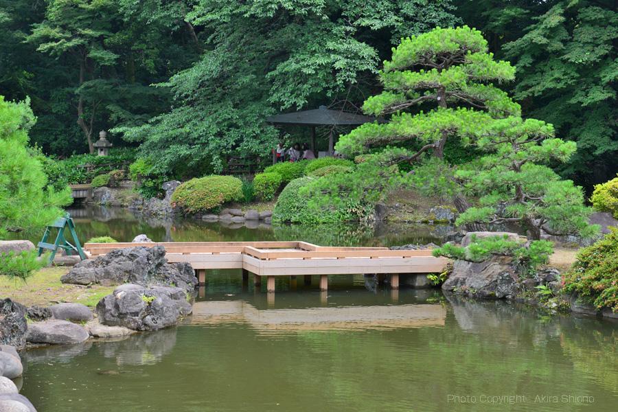 日本庭園