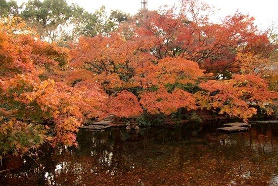 日本庭園