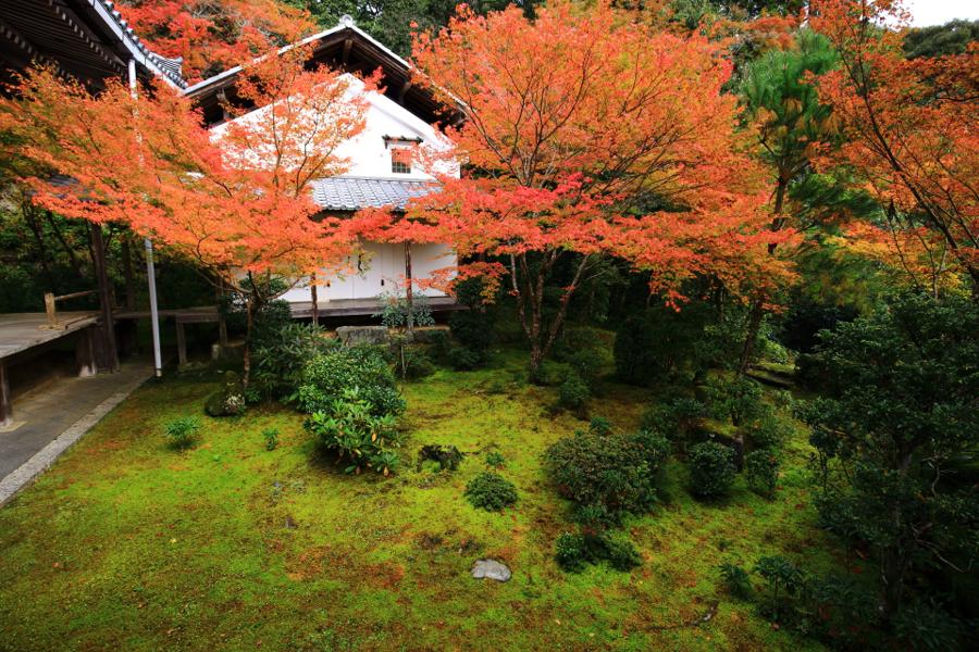 日本庭園