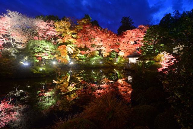 日本庭園