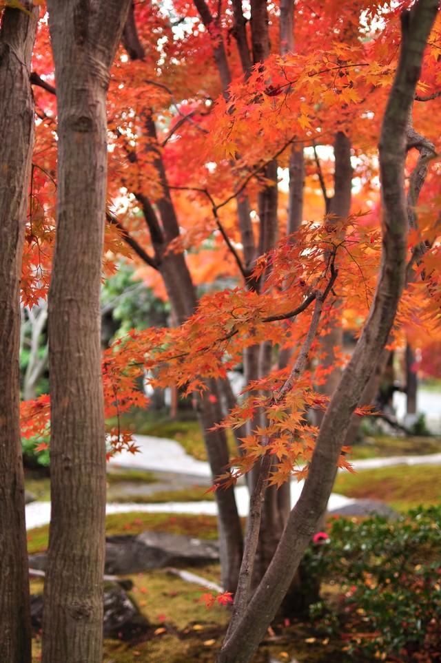 日本庭園