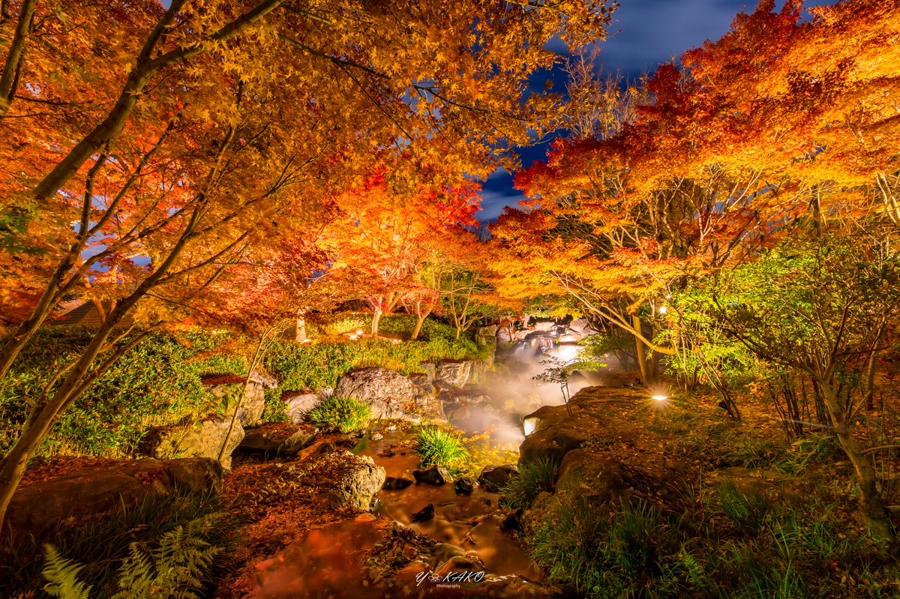日本庭園