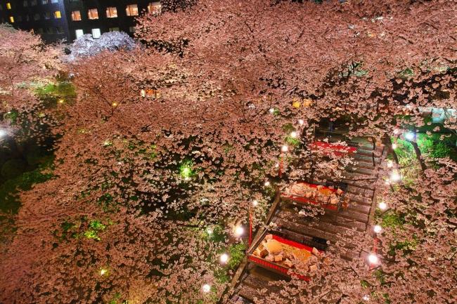 日本庭園