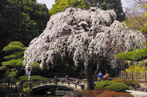 日本庭園