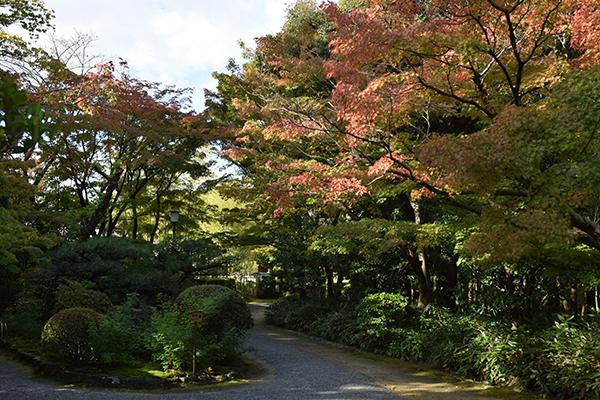 日本庭園
