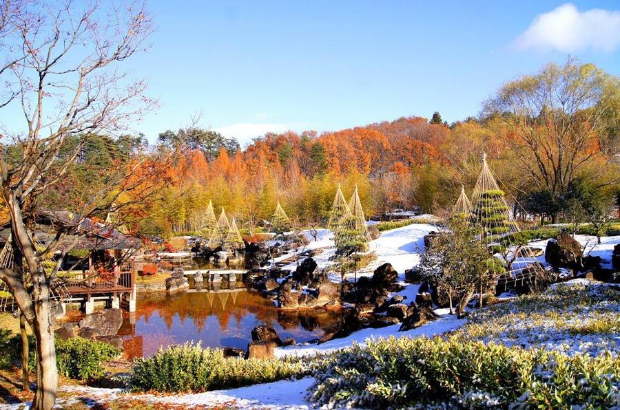 日本庭園