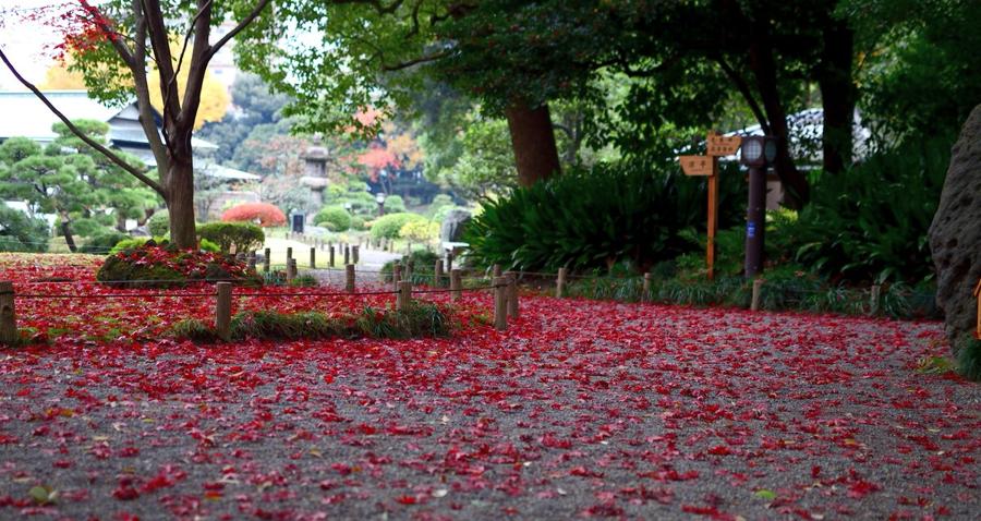 日本庭園