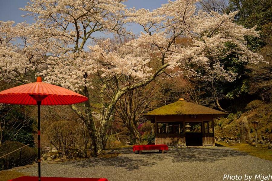 日本庭園