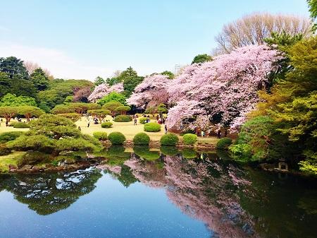 日本庭園