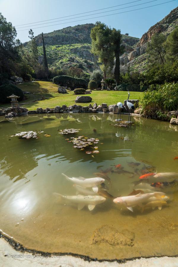 日本庭園