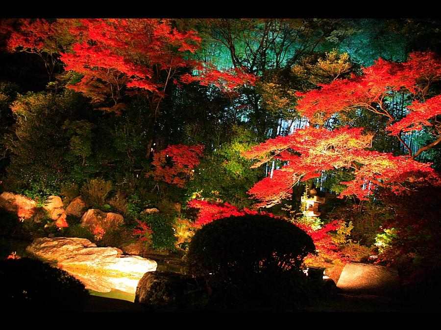 日本庭園