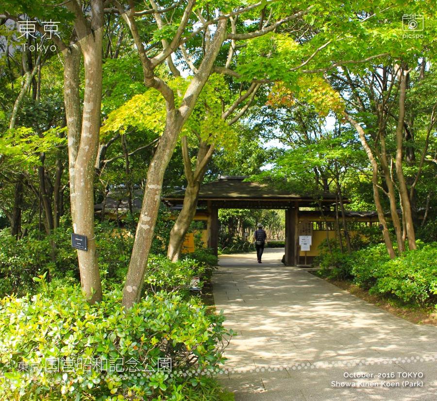 日本庭園