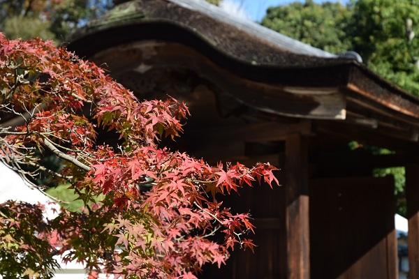 日本庭園
