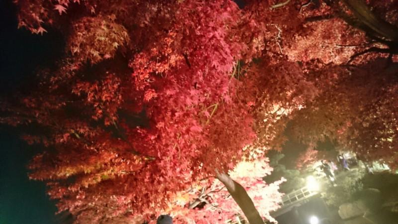 日本庭園