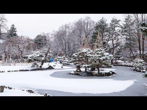 日本庭園
