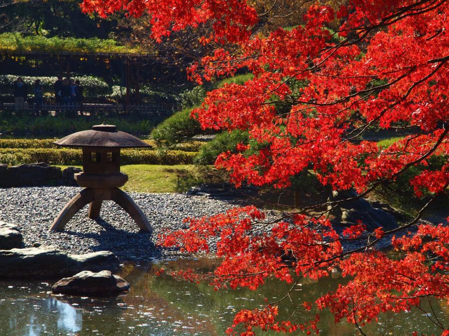 日本庭園