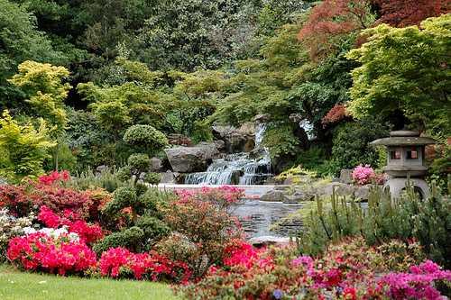 日本庭園