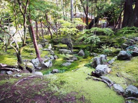 日本庭園
