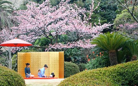 日本庭園