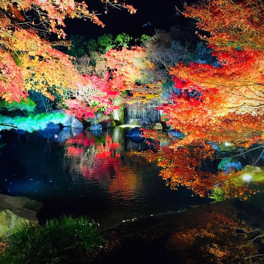 日本庭園